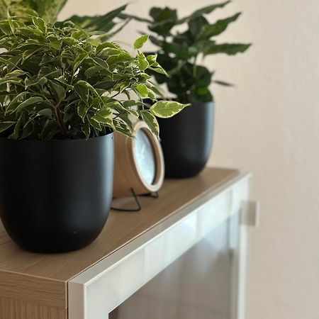 Appartement Elena 린츠 외부 사진
